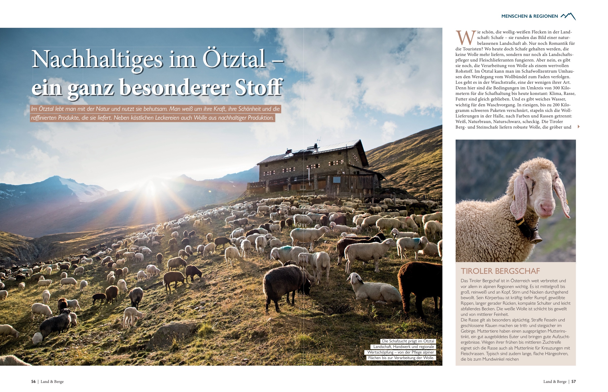 Heft-Doppelseite: „Nachhaltiges im Ötztal“ — Tiroler Bergschafe vor der Almhütte